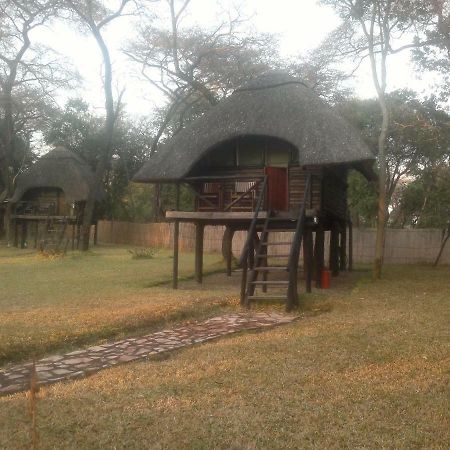 The Tree Lodge At Sikumi Dete Dış mekan fotoğraf