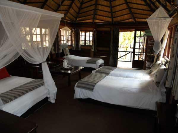 The Tree Lodge At Sikumi Dete Dış mekan fotoğraf