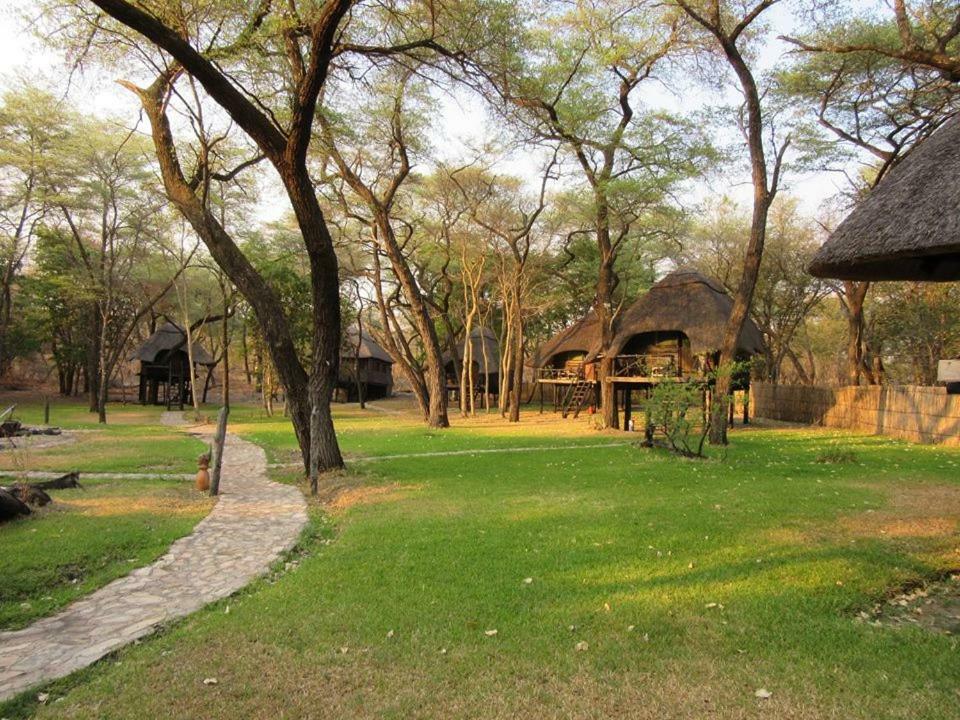 The Tree Lodge At Sikumi Dete Dış mekan fotoğraf