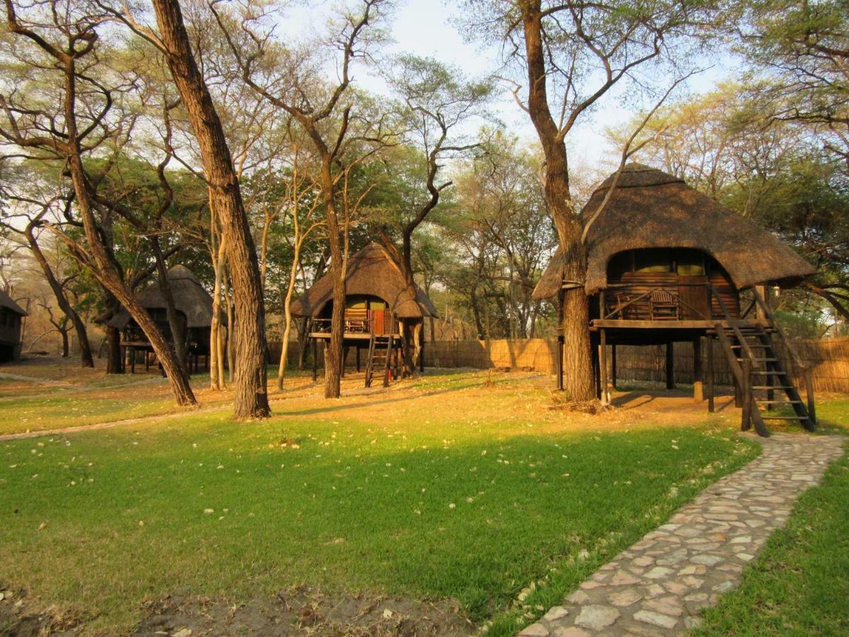The Tree Lodge At Sikumi Dete Dış mekan fotoğraf
