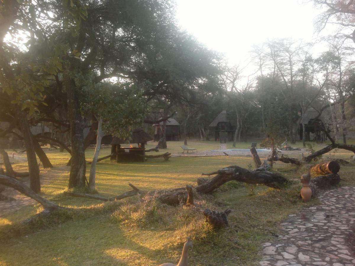 The Tree Lodge At Sikumi Dete Dış mekan fotoğraf